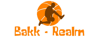 Basketball Vibe Zone Logo